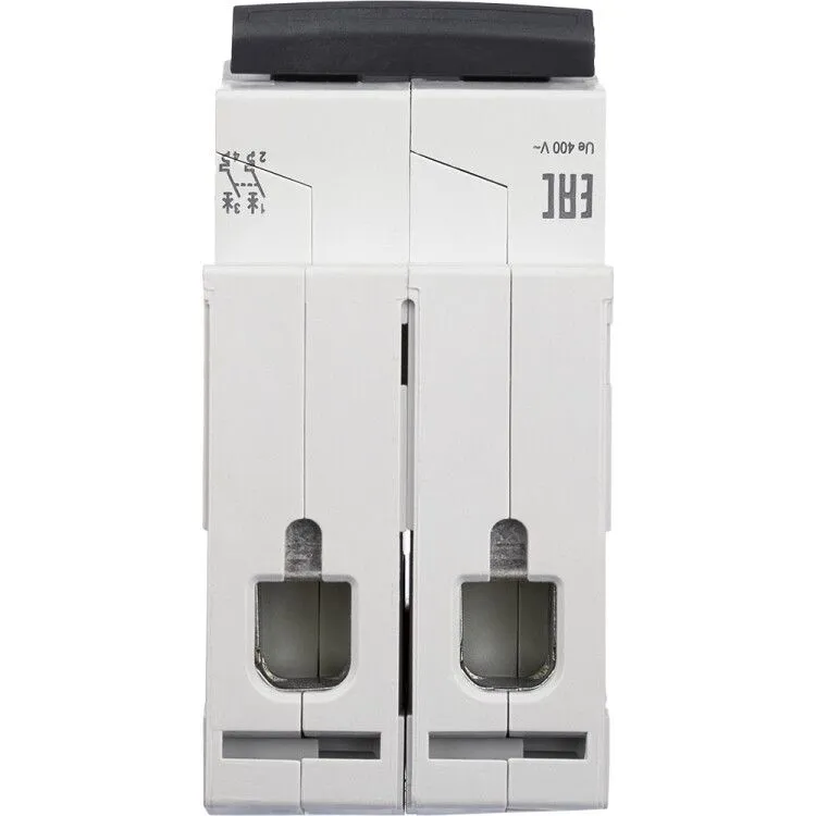 Выключатель автоматический двухполюсный RX3 4,5КА 63А 2 П С — изображение 2